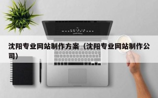 平顶山沈阳专业网站制作方案（沈阳专业网站制作公司）